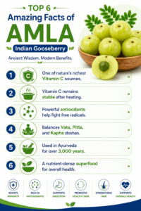 Amazing Facts about Amla