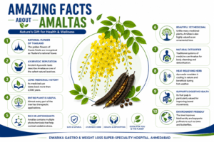 Amazing Facts About Amaltas