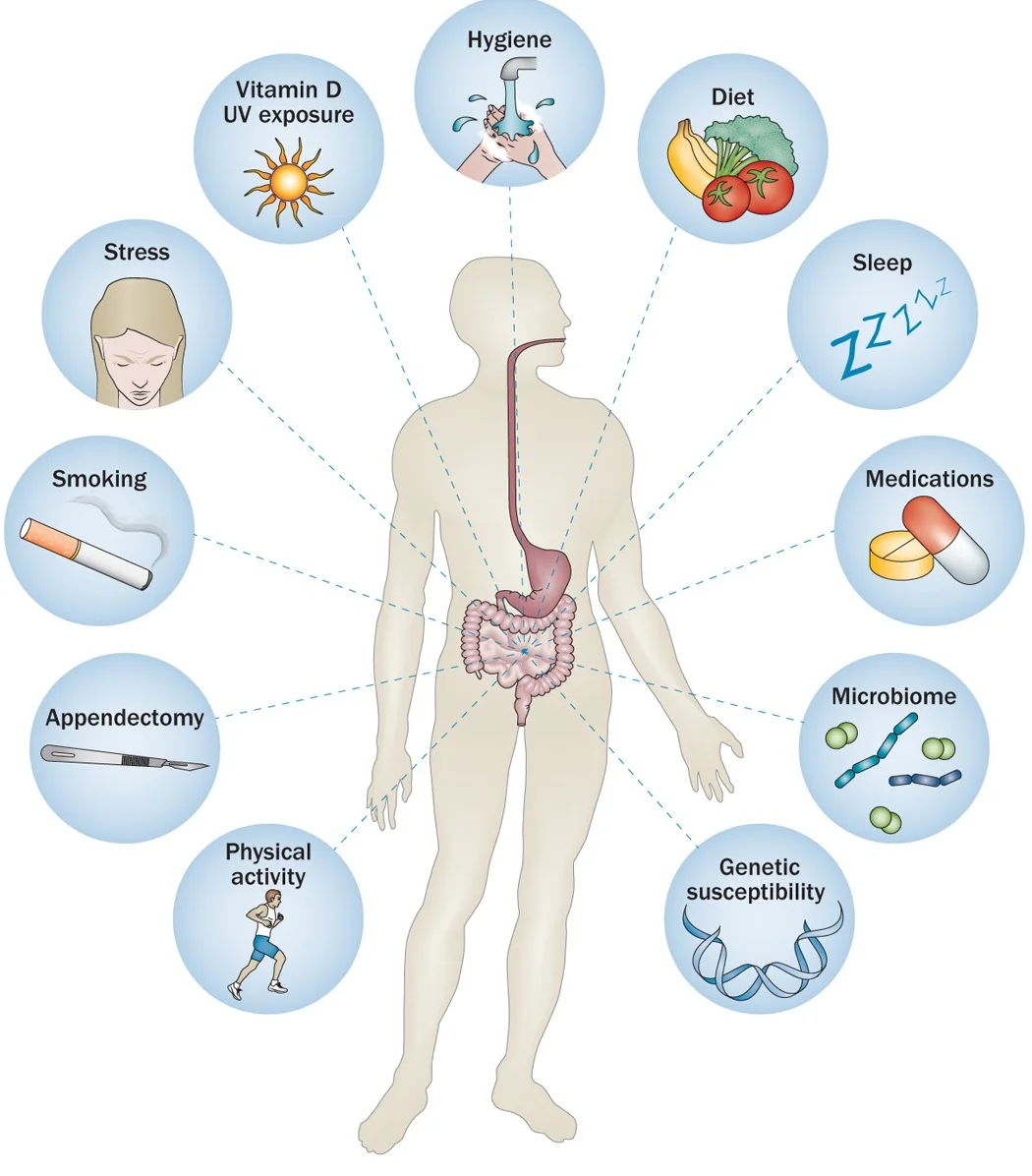 Key factors for digestive health