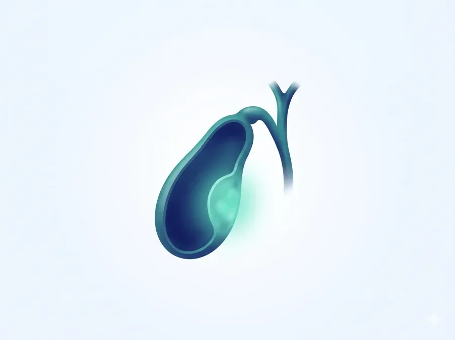 Gallbladder Cancer