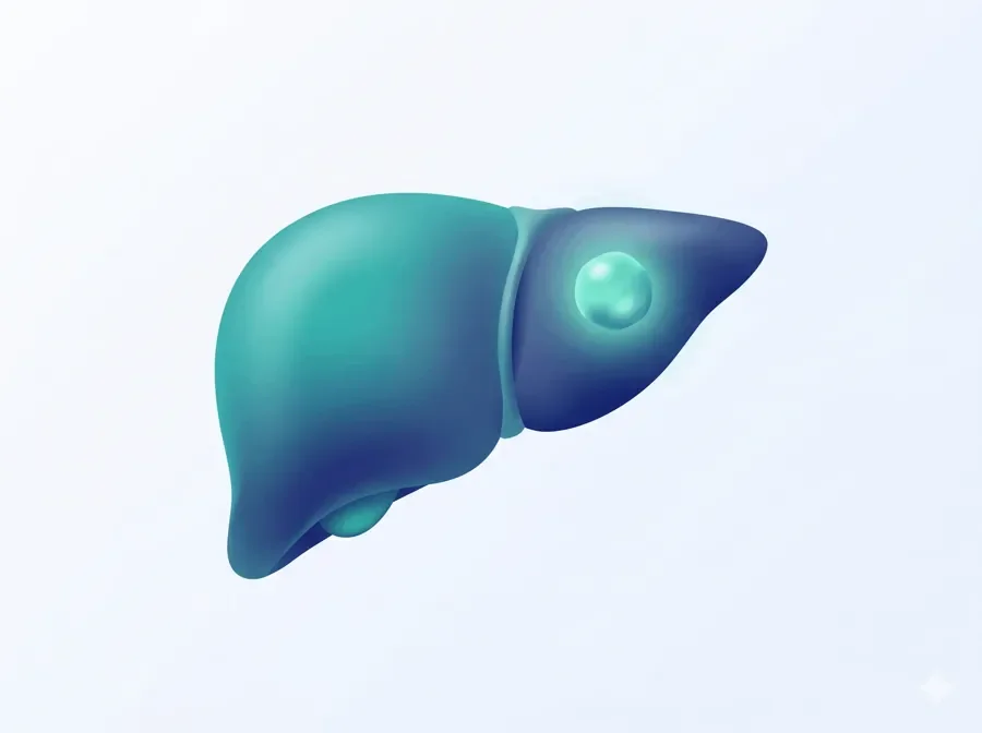 Digestive Cancer Knowledge Centre