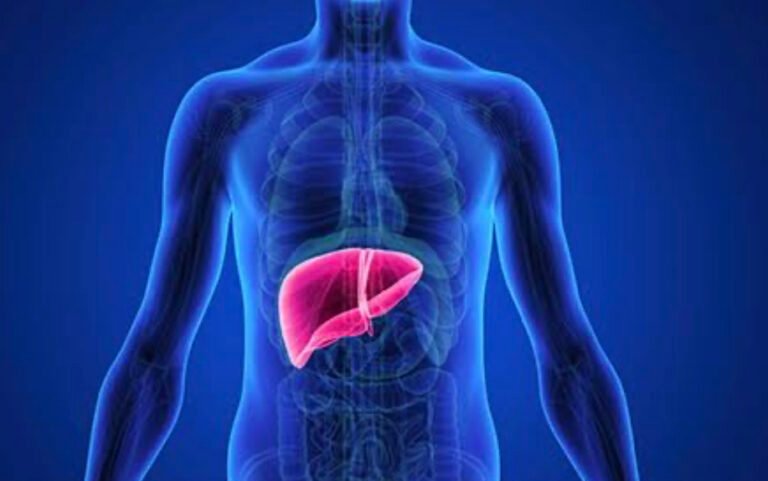 Liver: Life is not possible without liver. Know the reasons.