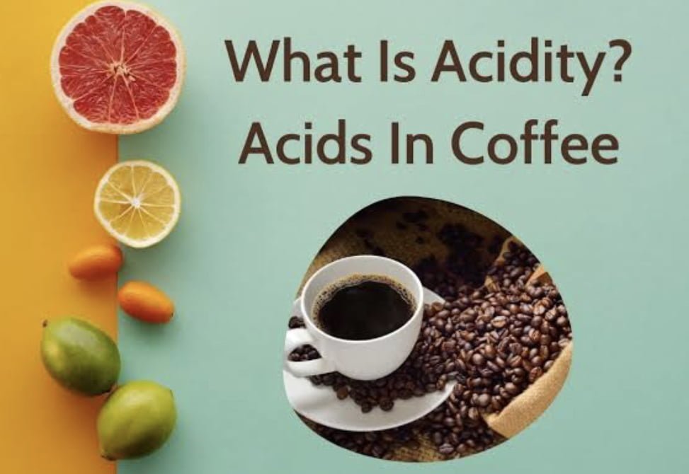 Coffee & Acidity: Causes, Effects, and Tips for Enjoying Your Brew