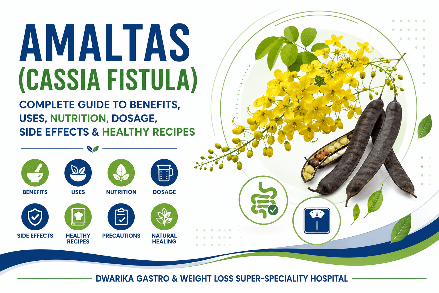 Amaltas for Constipation, Liver Health and Weight Management