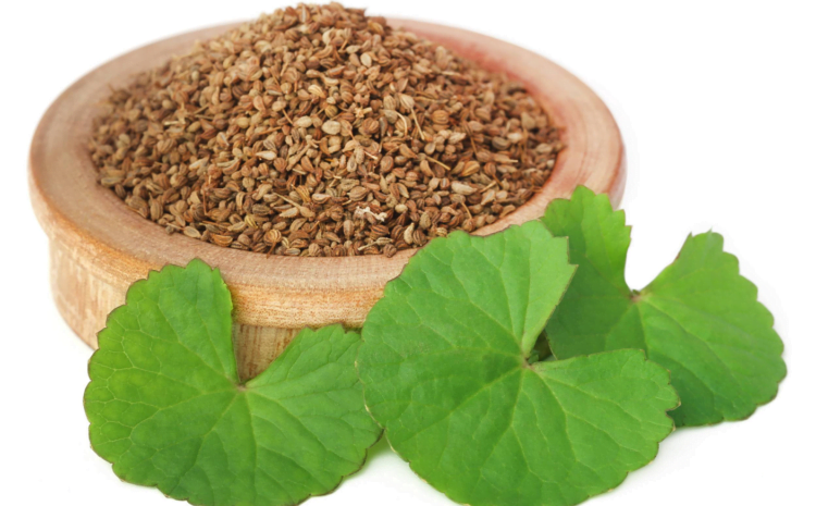 Picture with a bowl of ajwain seeds and ajwain leaves