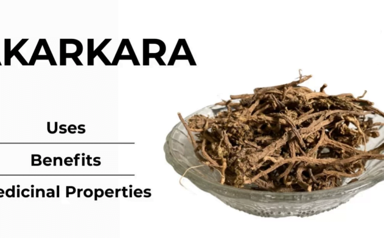Bowl of dried akarkara