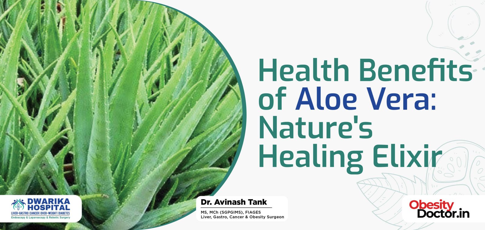 Health Benefits of Aloe Vera: Nature’s Healing Elixir