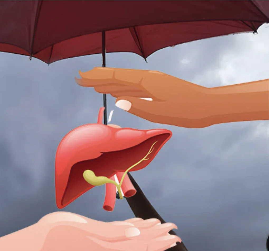 How to Save Your Liver in Rainy Season: Tips and Precautions