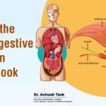 Organs of the Human Digestive System- An In-Depth Look