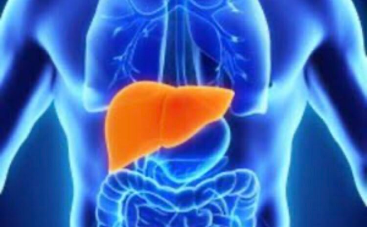 Amoebic Liver Abscess Treatment
