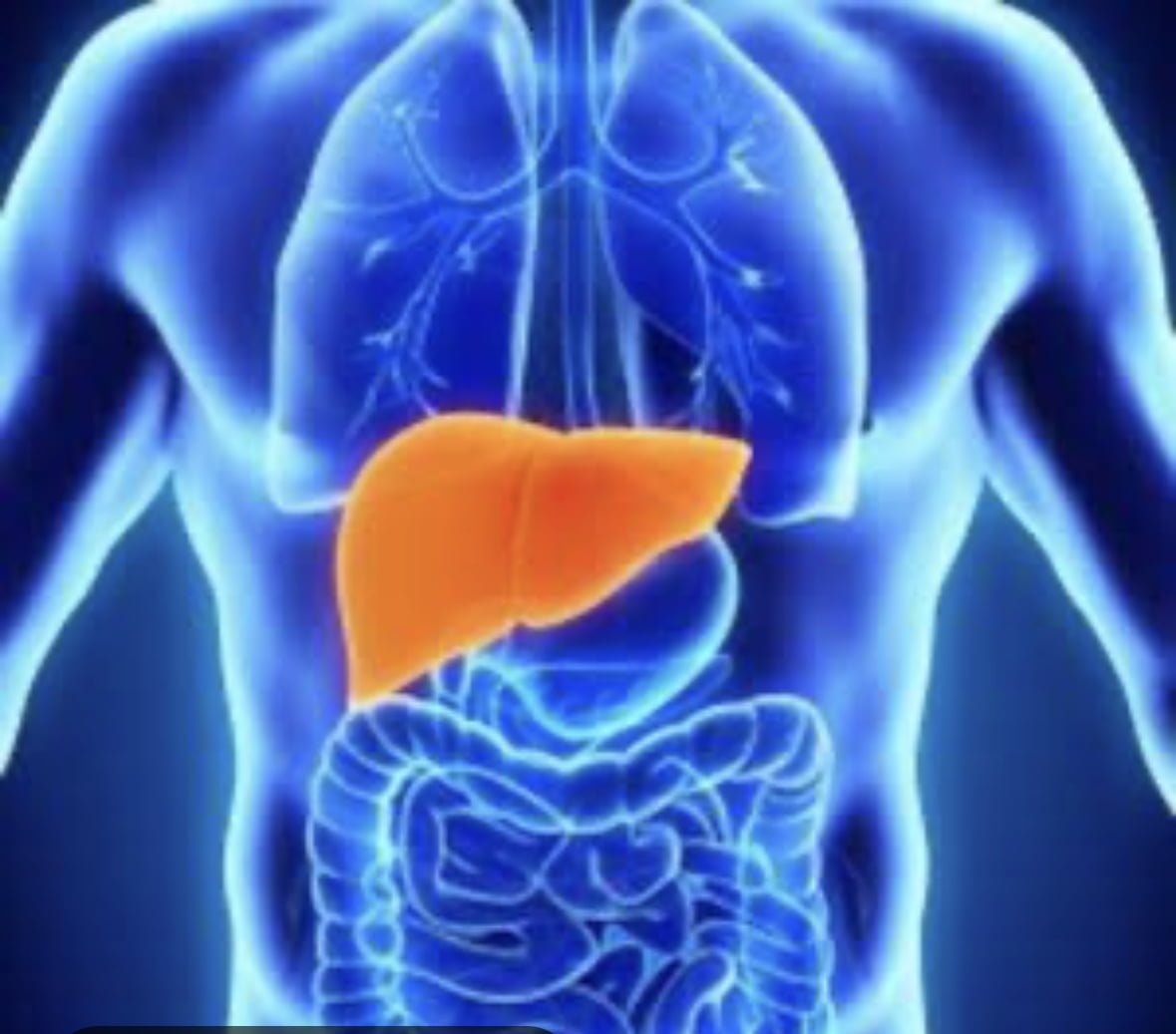 Amoebic Liver Abscess Treatment