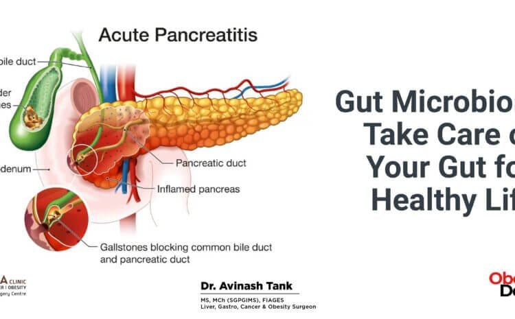 Gut Microbiome: Take Care of Your Gut for Healthy Life