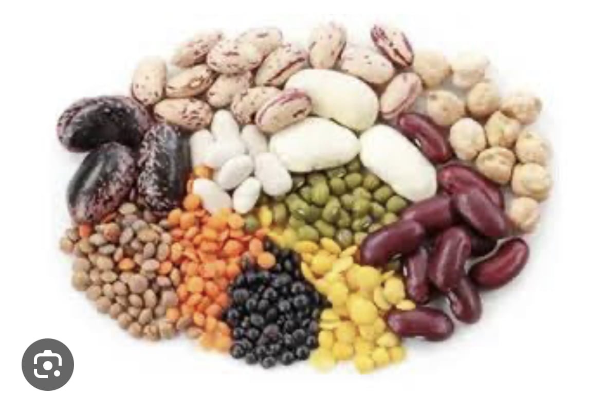 Health benefits of Beans for patients with history of colorectal cancer