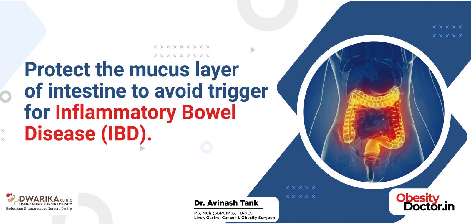 Protect the mucus layer of intestine to avoid trigger for Inflammatory Bowel Disease (IBD).