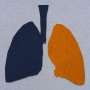 Lung transplant discovery could improve survival rates