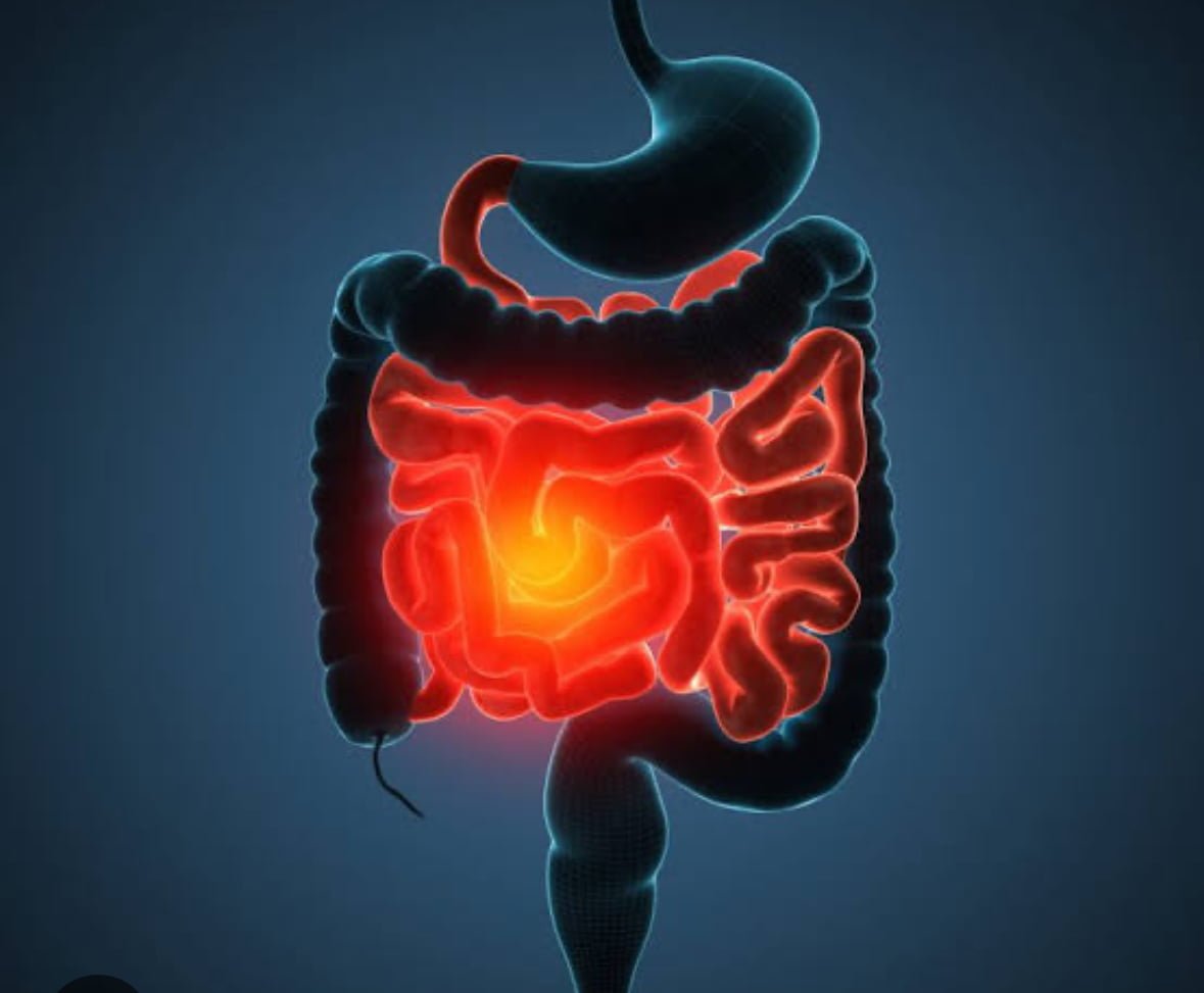 Your Gut Shrinks When You Don't Eat? - Dr AvinashTank, is a super ...