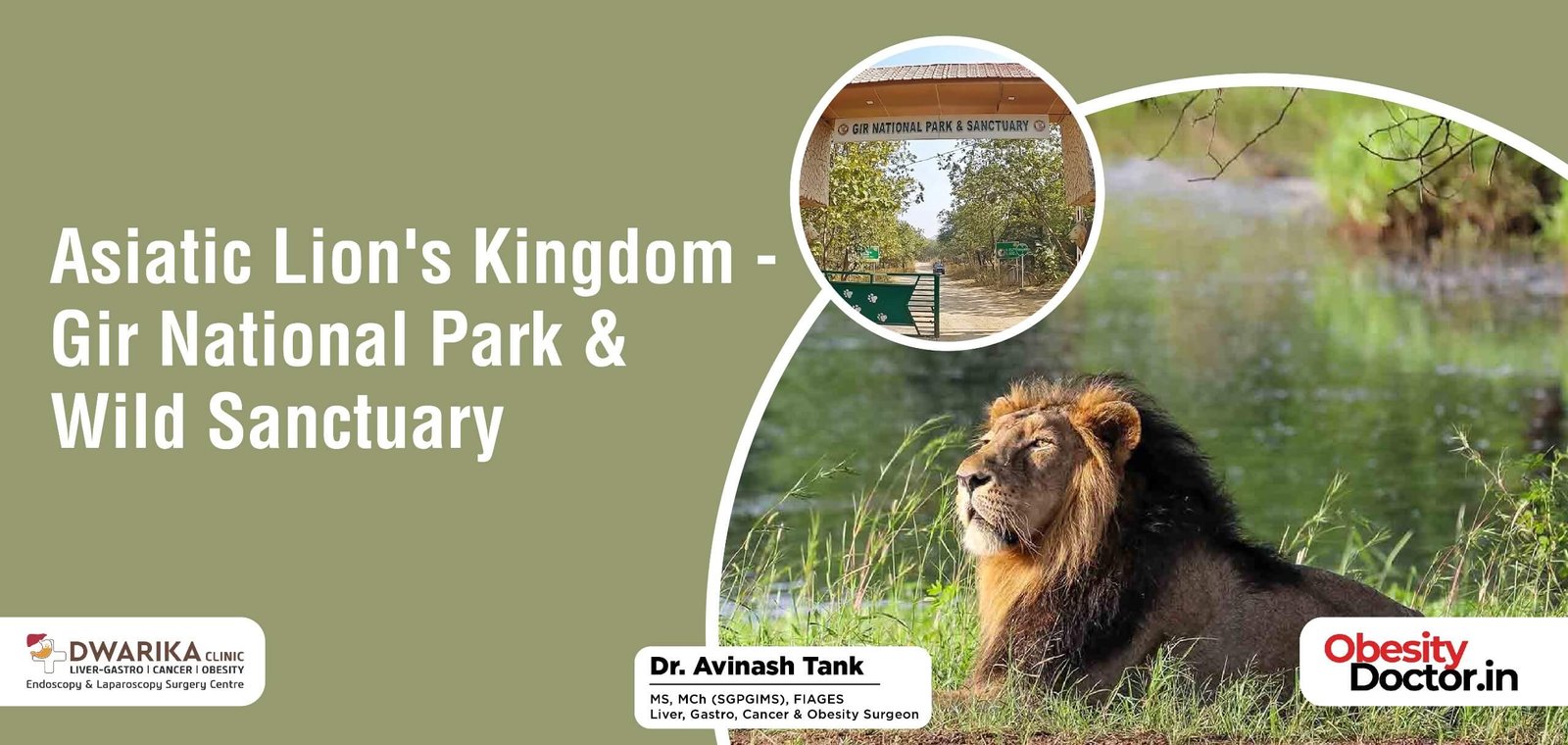 Asiatic Lion’s Kingdom – Gir National Park & Wild Sanctuary