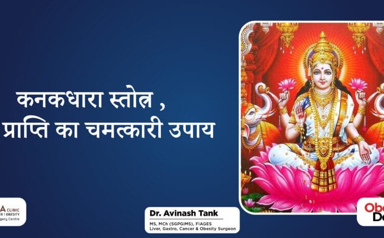 कनकधारा स्तोत्र, धन प्राप्ति का चमत्कारी उपाय